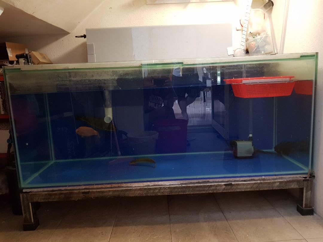 5 ft tank with top filter box low hard metal stand RESERVED