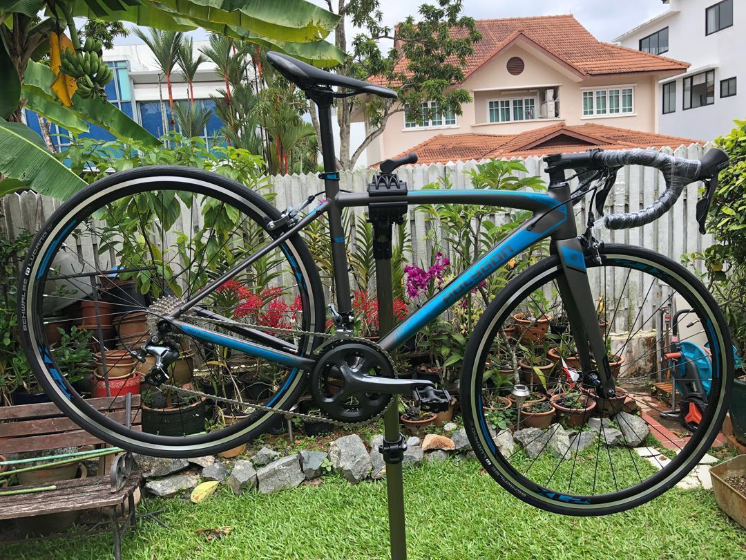 polygon road bike
