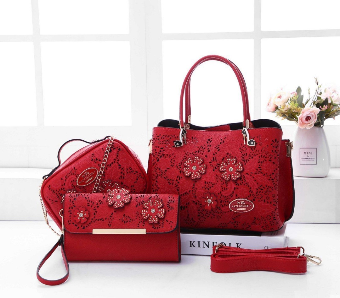 New design coach bag 2019 clearance