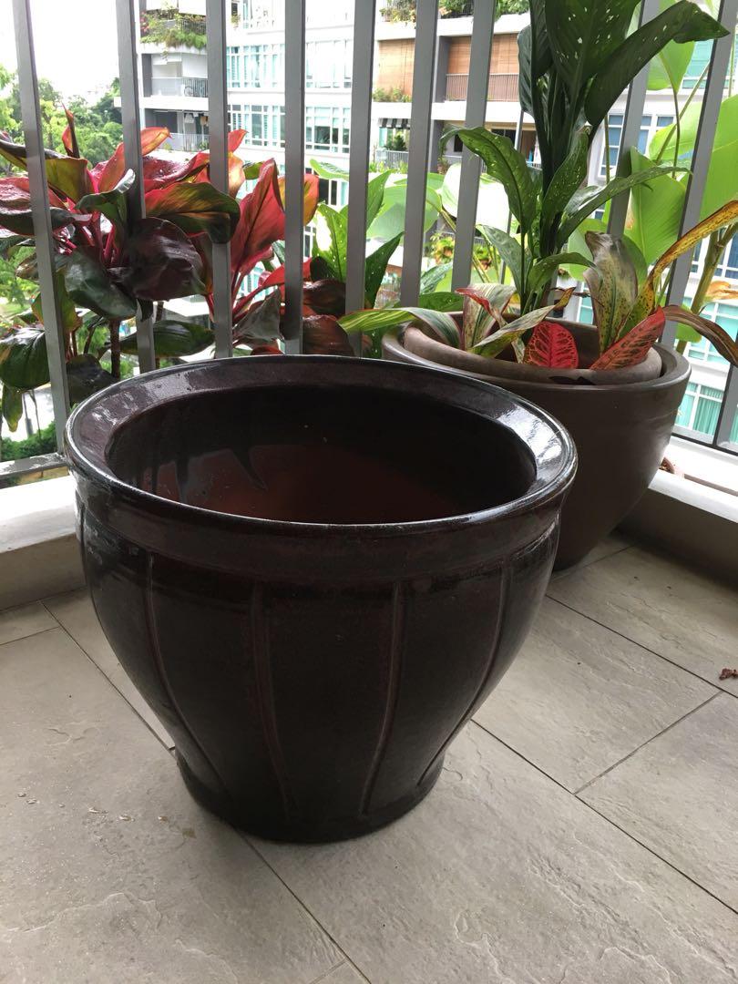Large 46cm Ceramic Plant Pot Gardening Pots Planters On Carousell