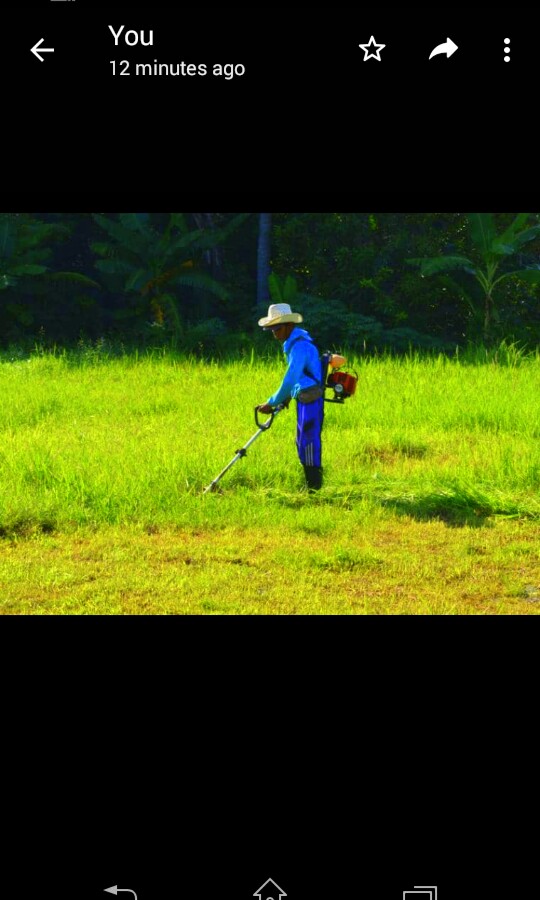 Potong rumput rumah ke rumah, Services, Home Services, Cleaning on