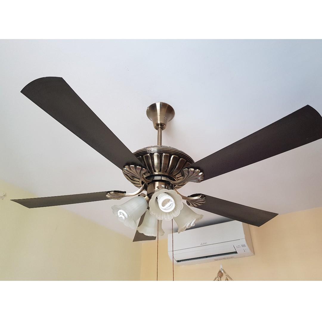 Super Cooling Ceiling Fan Shelly Lighting