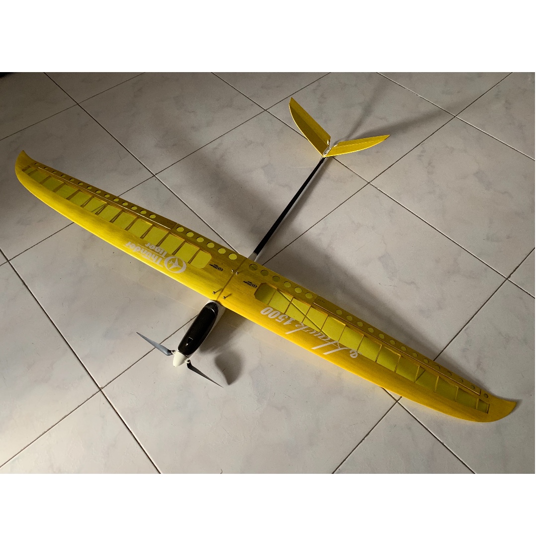 hawk rc plane