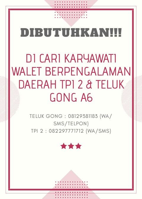 Cari Lowongan Kerja Walet