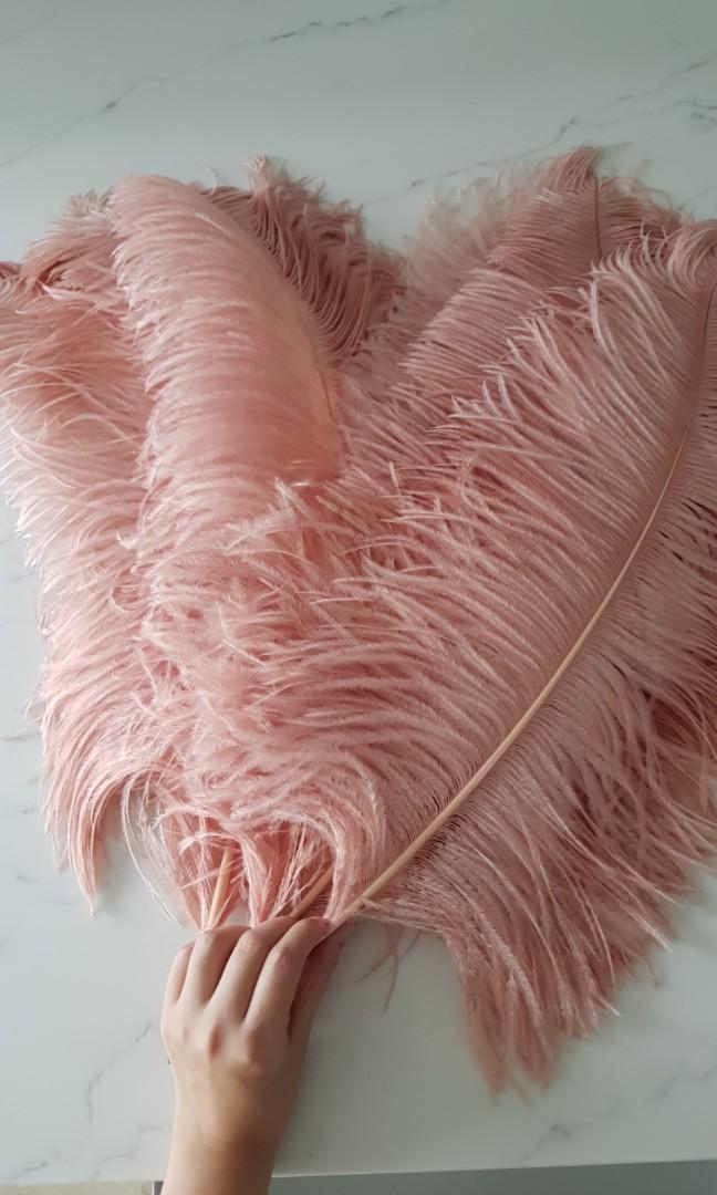 pink ostrich feathers