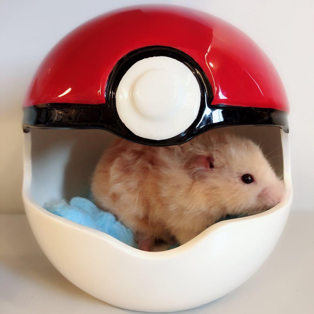 Pokeball Hamster Hideout (spacious 