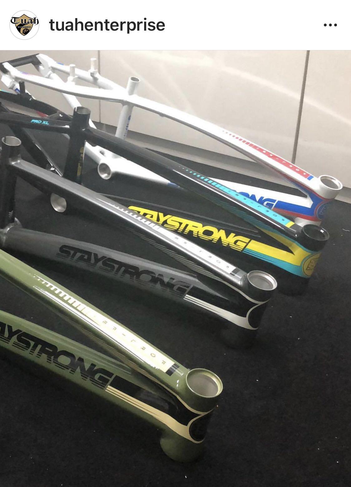 stay strong bmx frame 2019