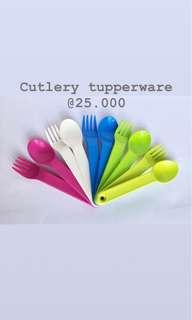 Cutlery tupperware