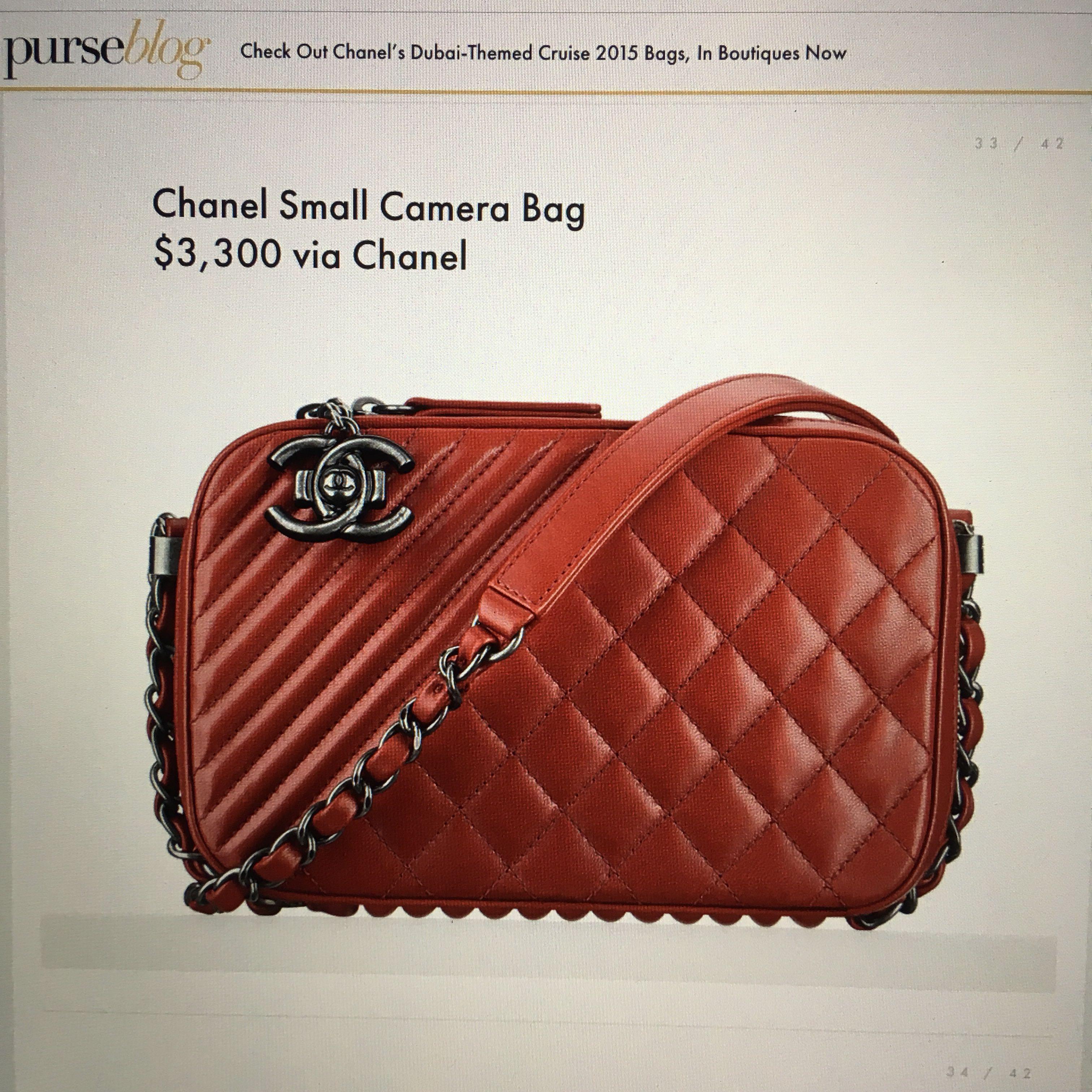 chanel small camera case