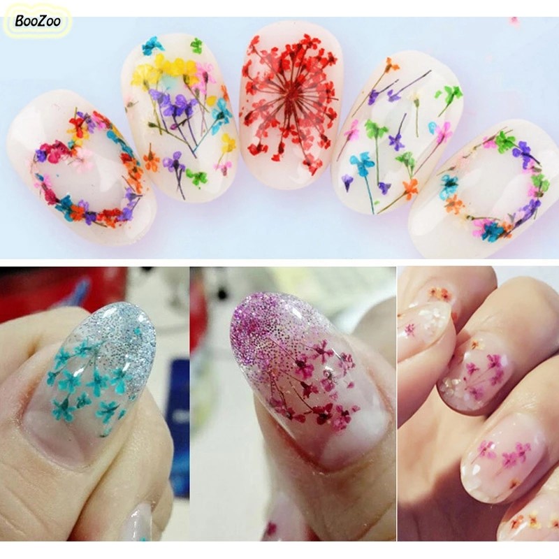 Bluezoo Dry Flower Nail Art Real Nail Art Dried Flowers Nail Art