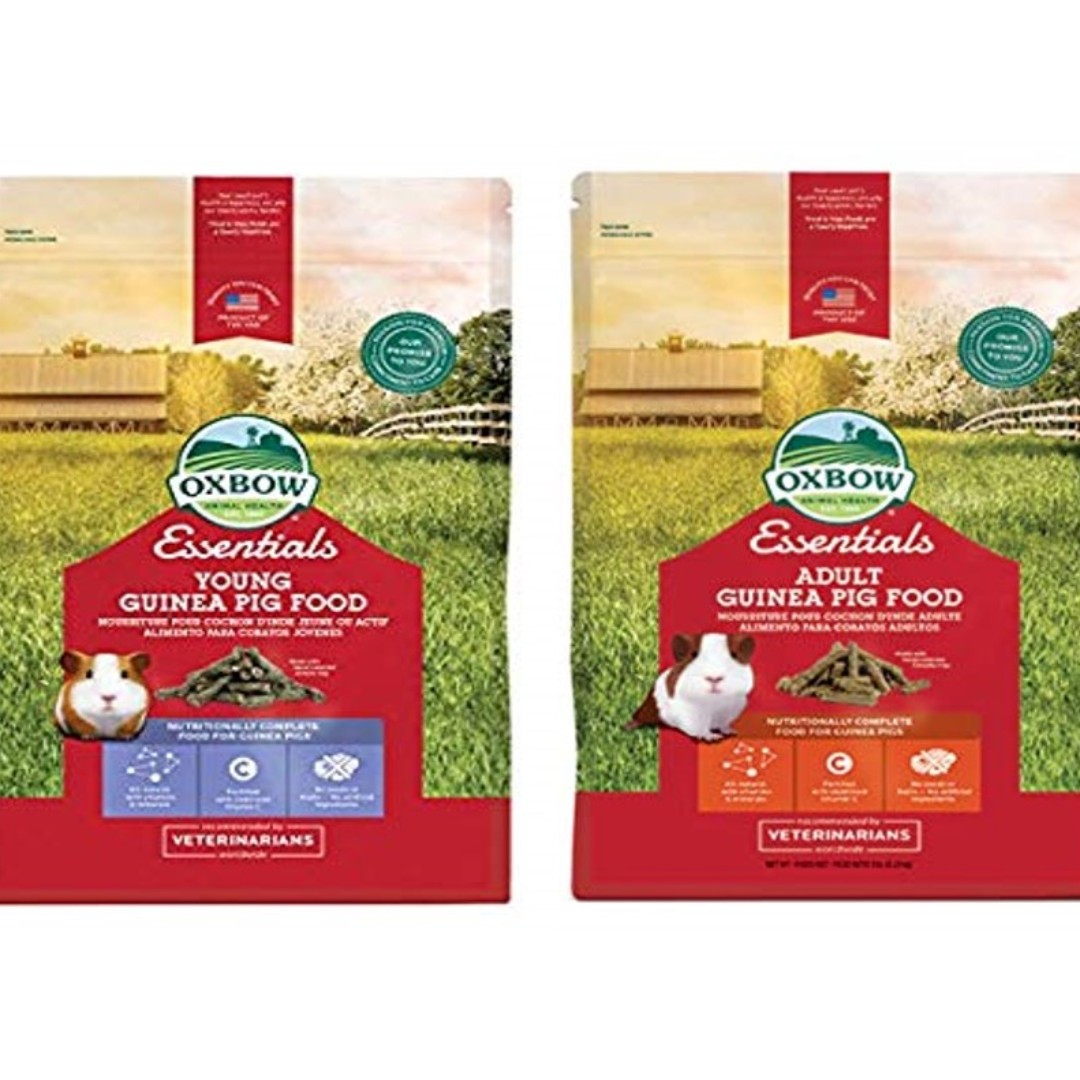 Guinea Pig Food By Oxbow Everything Else On Carousell