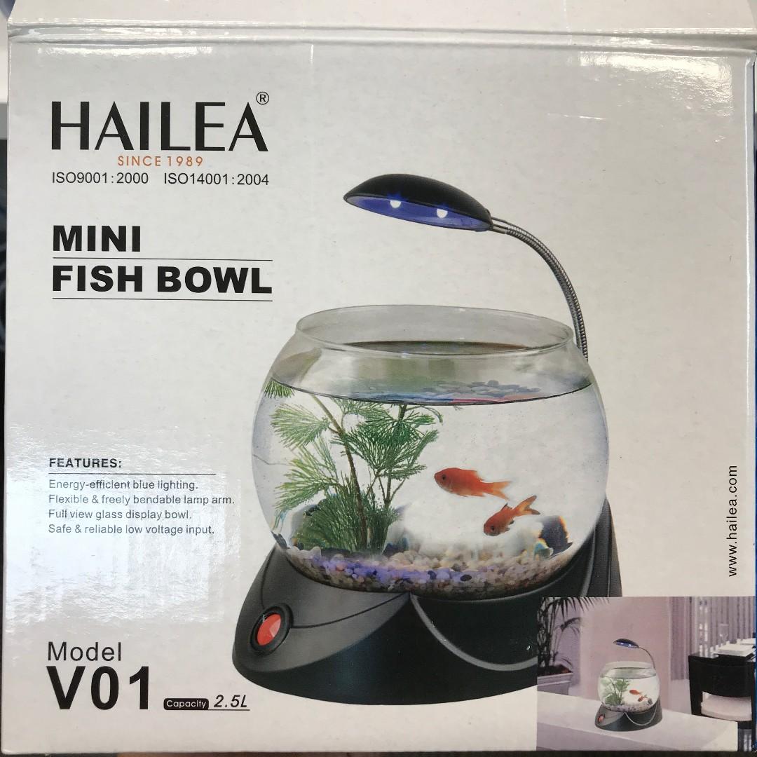 aquarium bowl, Pet Supplies, Homes & Other Pet Accessories on Carousell