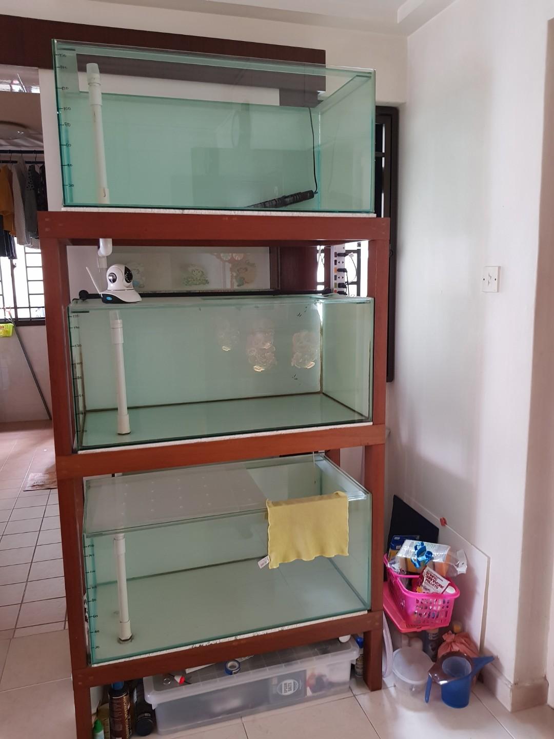 Fish tanks with wooden rack, Furniture & Home Living, Furniture ...