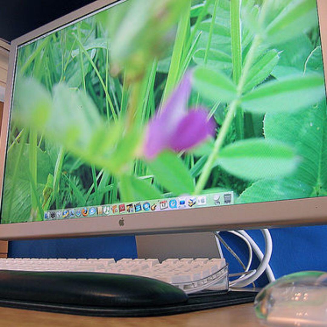 23” Apple Cinema Display Monitor (aluminium), Computers & Tech, Parts