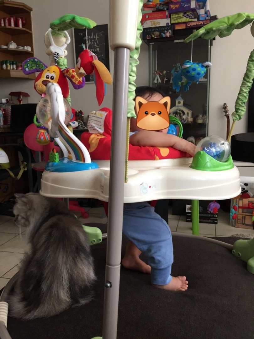 rainforest friends jumperoo