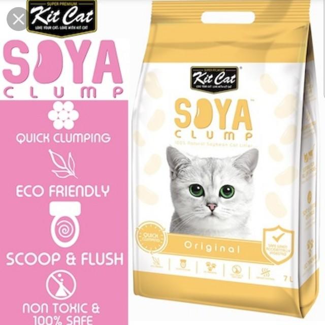 Kit cat tofu litter sales