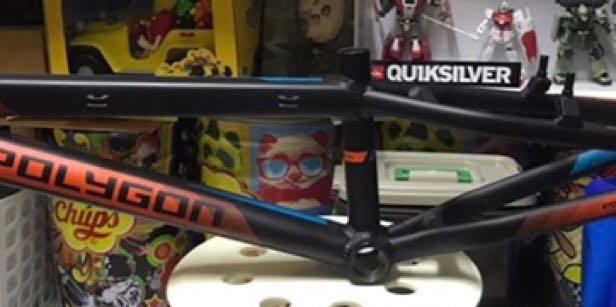 Polygon blizzard bmx bike online