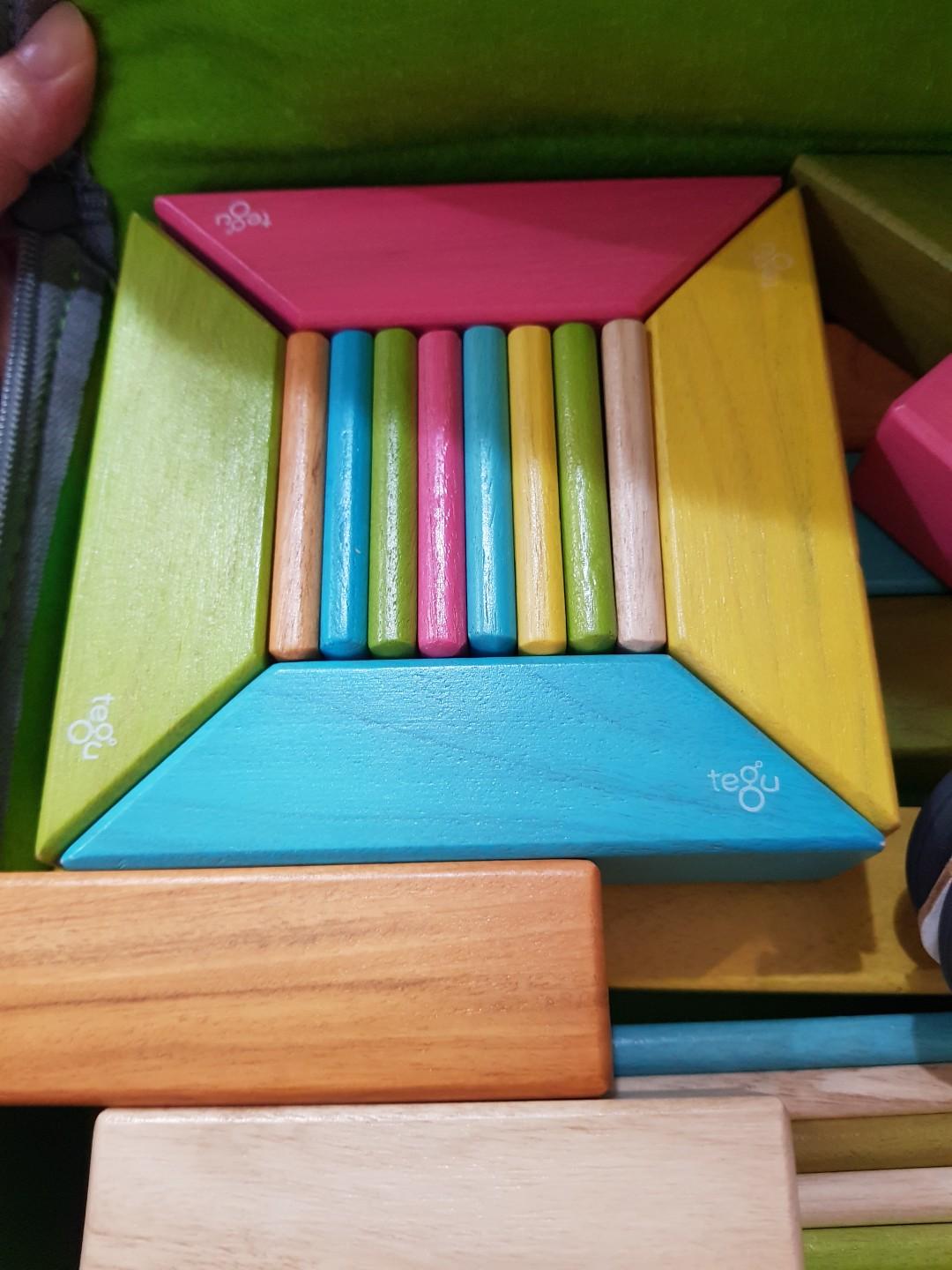 Tegu 40 piece explorer 2025 set