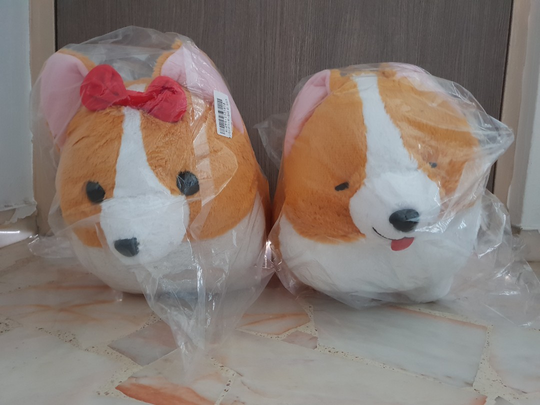 ichini corgi