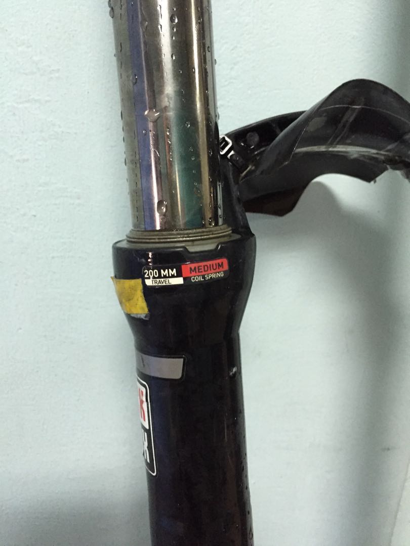 rock shox domain 200mm
