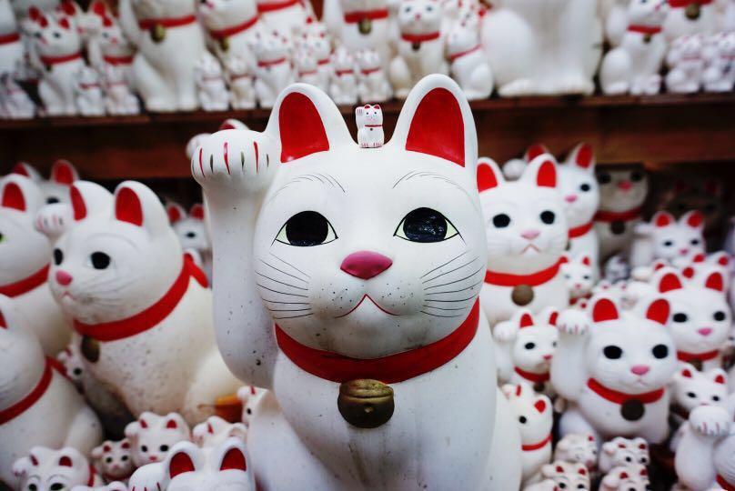 Sony A5000 flip screen camera, Photography, Cameras, Mirrorless on