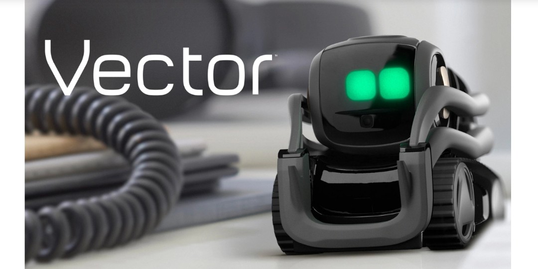 Vector by Anki smart home robot takes command, TV & Home Appliances, TV ...