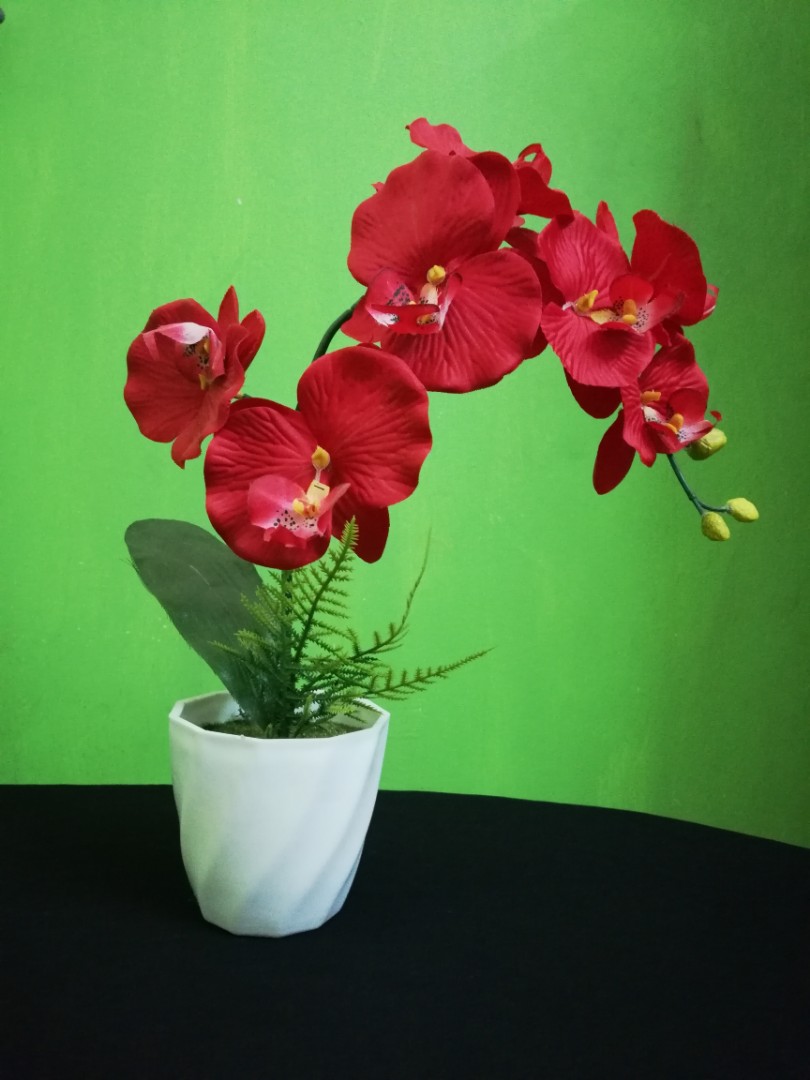 Combo 2 bunga orkid (pink + merah), Rumah & Perabot, Home 