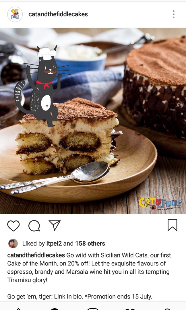 Cat The Fiddle Cheese Cake Tiramisu Food Drinks Baked