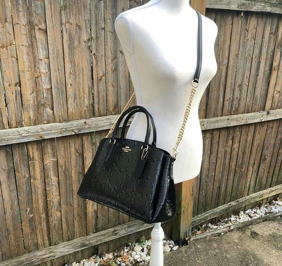 mini sage carryall coach