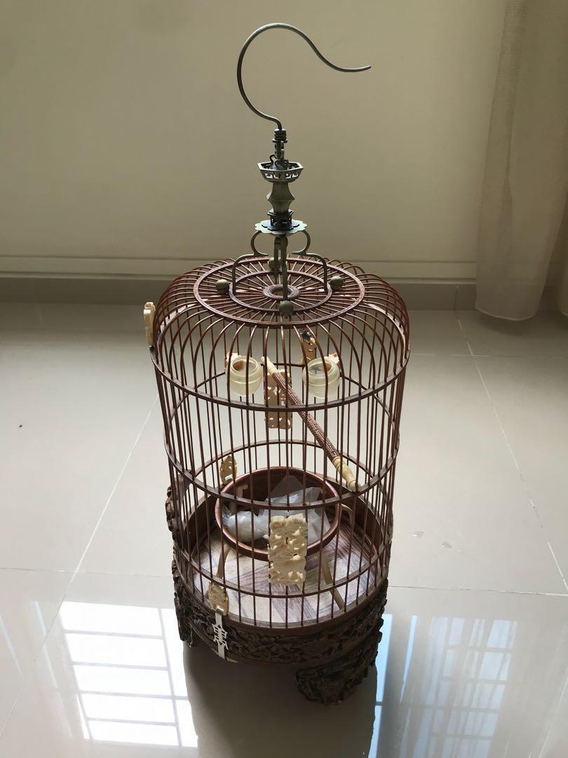 Mata puteh cage 2025 accessories
