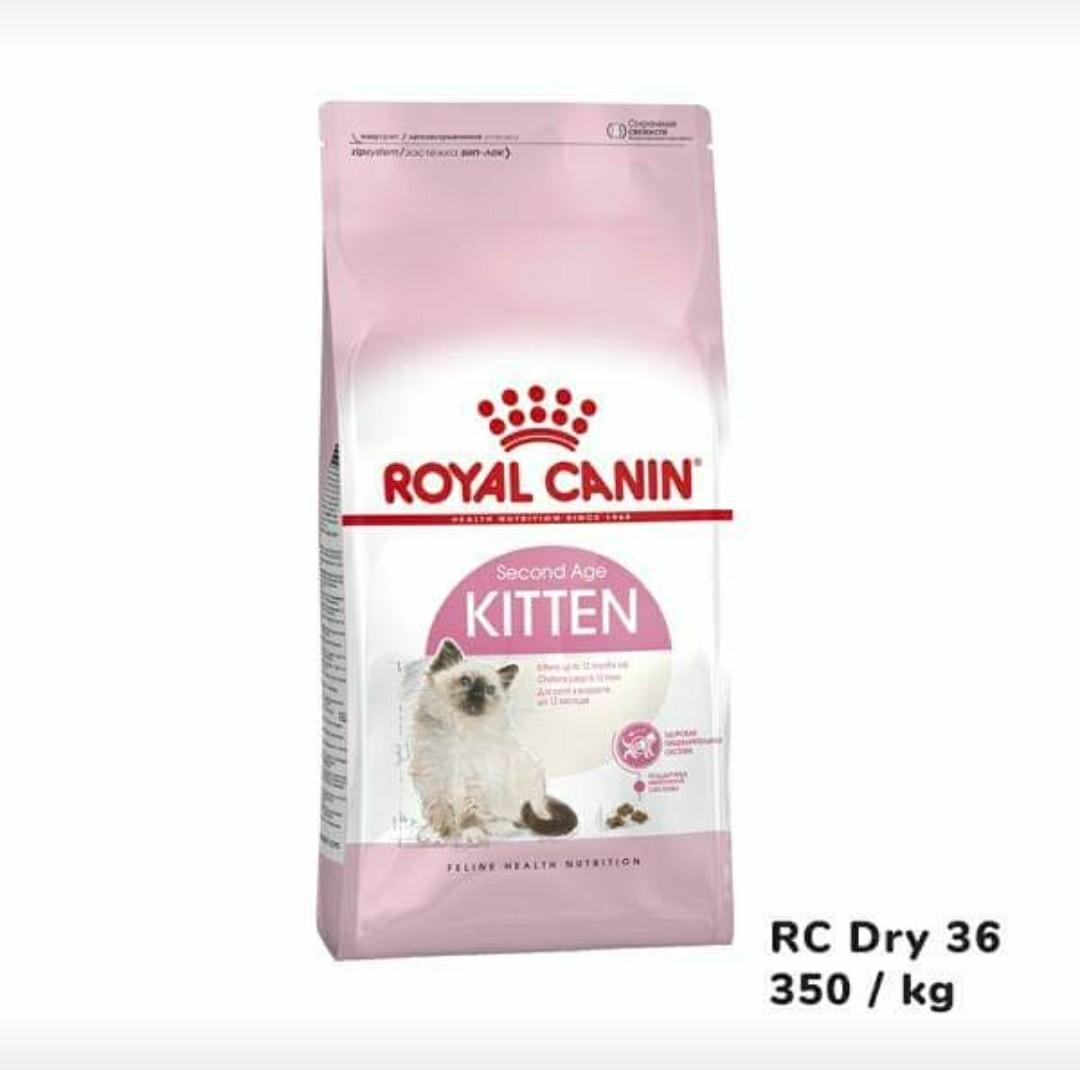 Royal Canin Kitten Dry Food 1kg Repack Pets Supplies Pet Food On Carousell