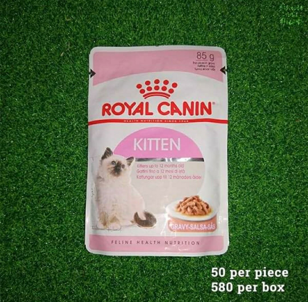 Royal Canin Kitten Wet Food Pets Supplies Pet Food On Carousell