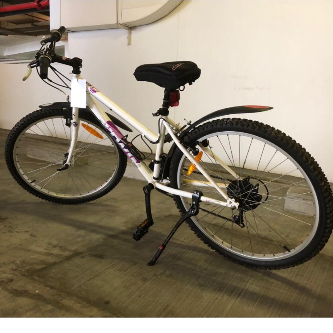 giant bike aluminum frame