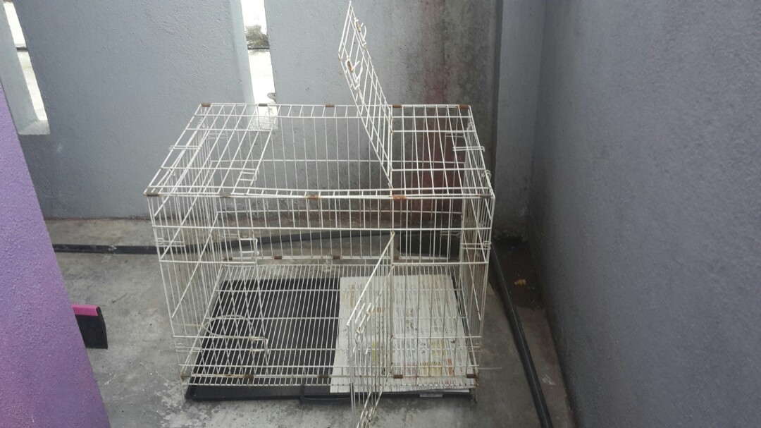 Buat Sangkar Kucing Guna Pvc - Pagar Rumah