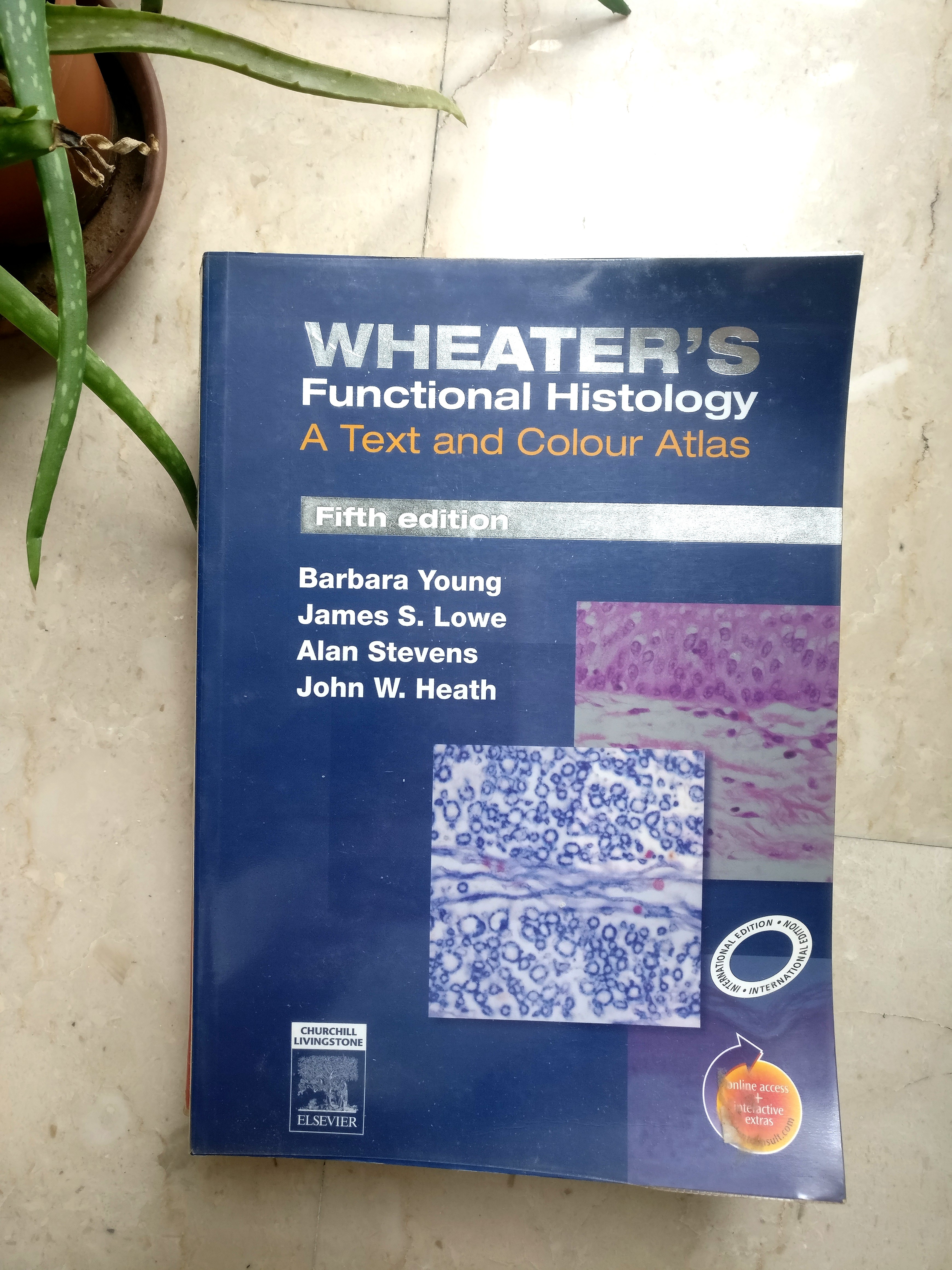 Wheaters Functional Histology Text And Colour Atlas Books - 