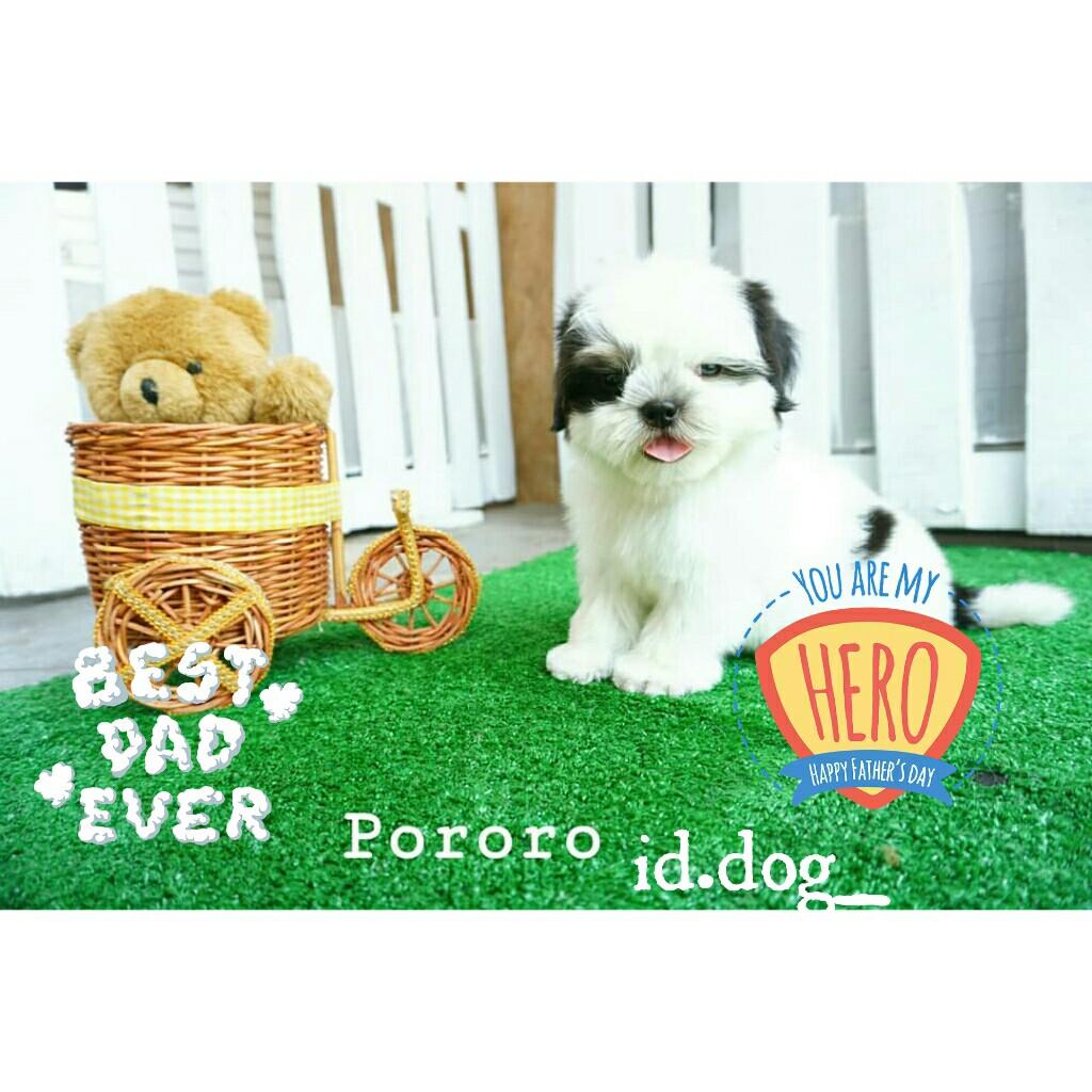 Pororo dog discount