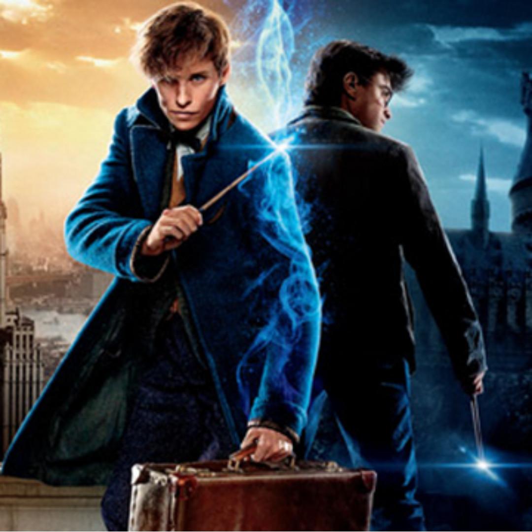 Grabbags For The Amaaazinnggg Harry Potter And Fantastic Beasts Wizarding World Series Everything Else On Carousell