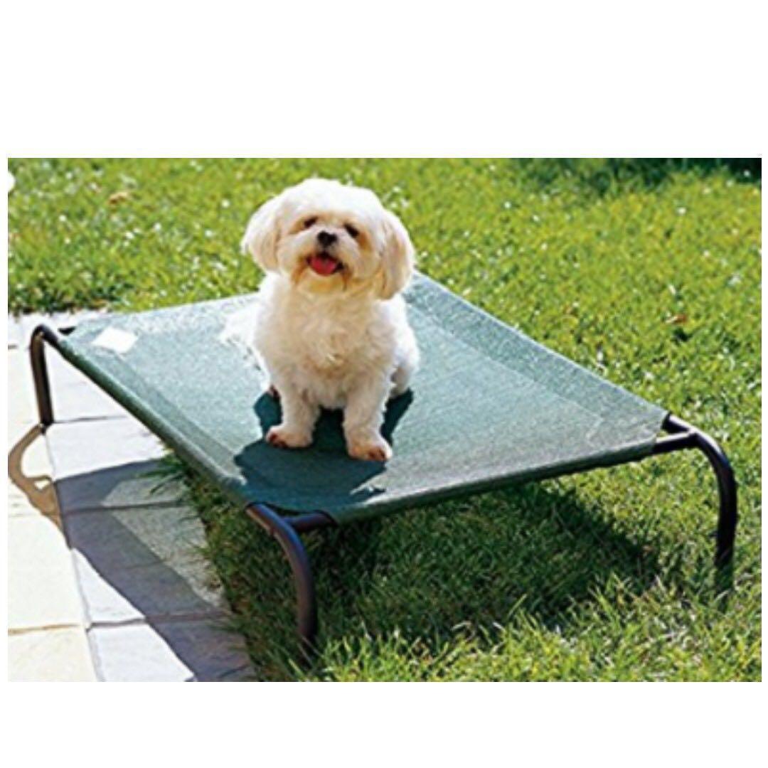 Dog bed clearance sale Clearance