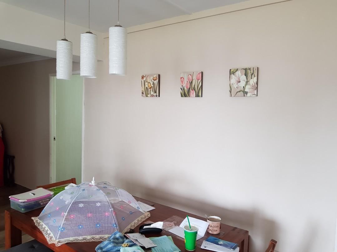 Used Nippon Paint Natural Cane 5l, Everything Else on Carousell