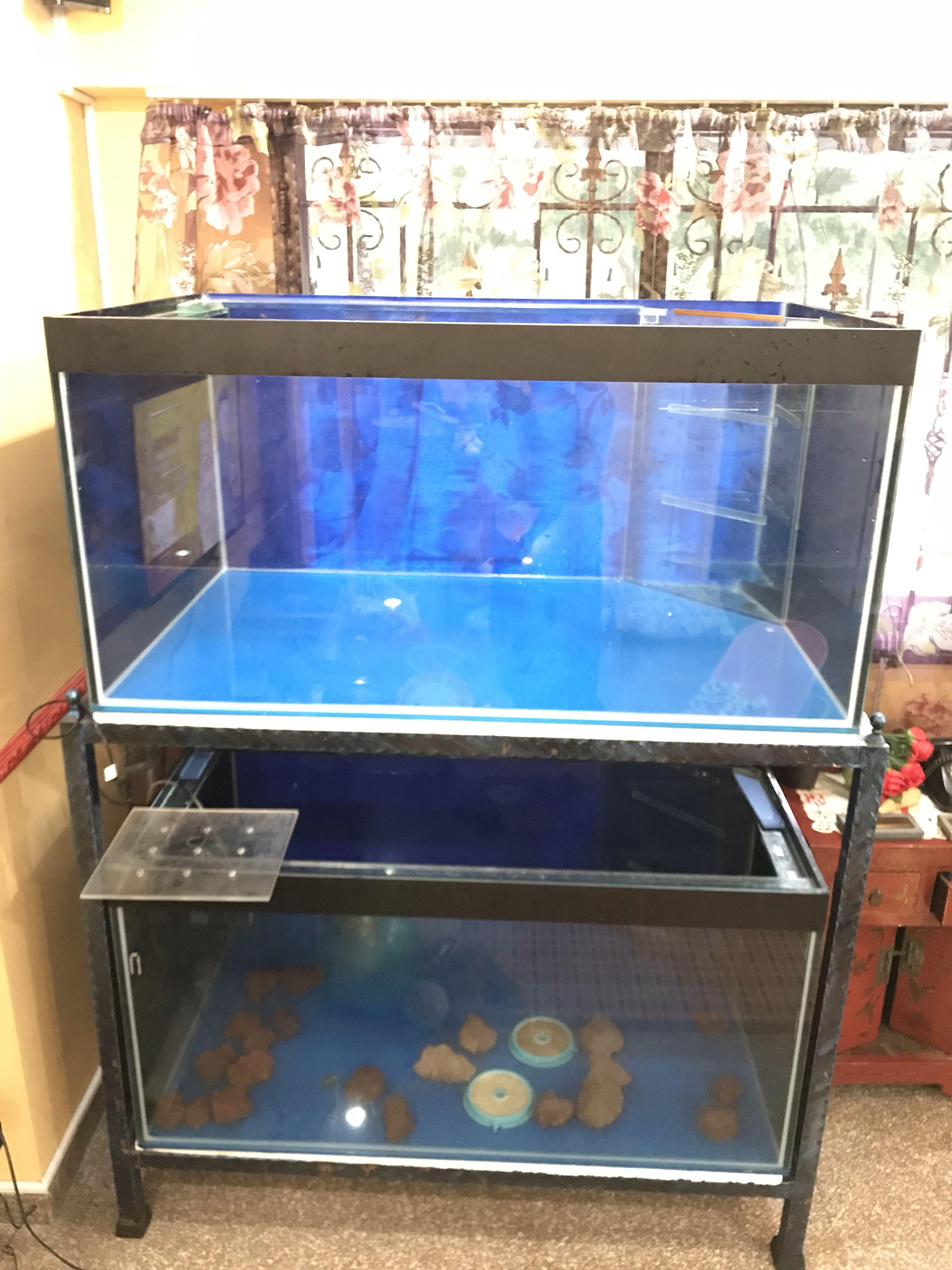 4ft tank