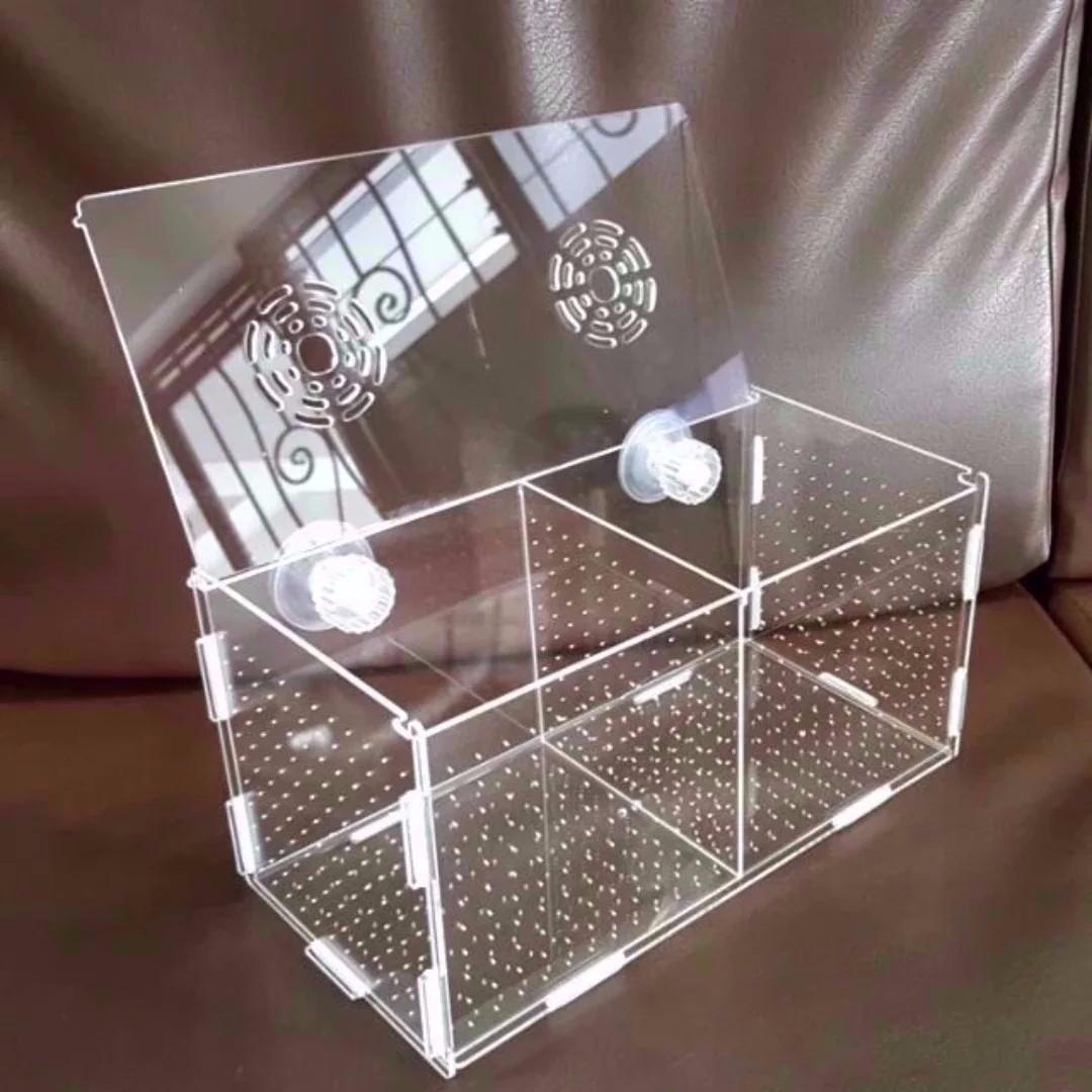 SALES!! Acrylic Divider / Breeder Box / Isolate Box for Aquarium Fish