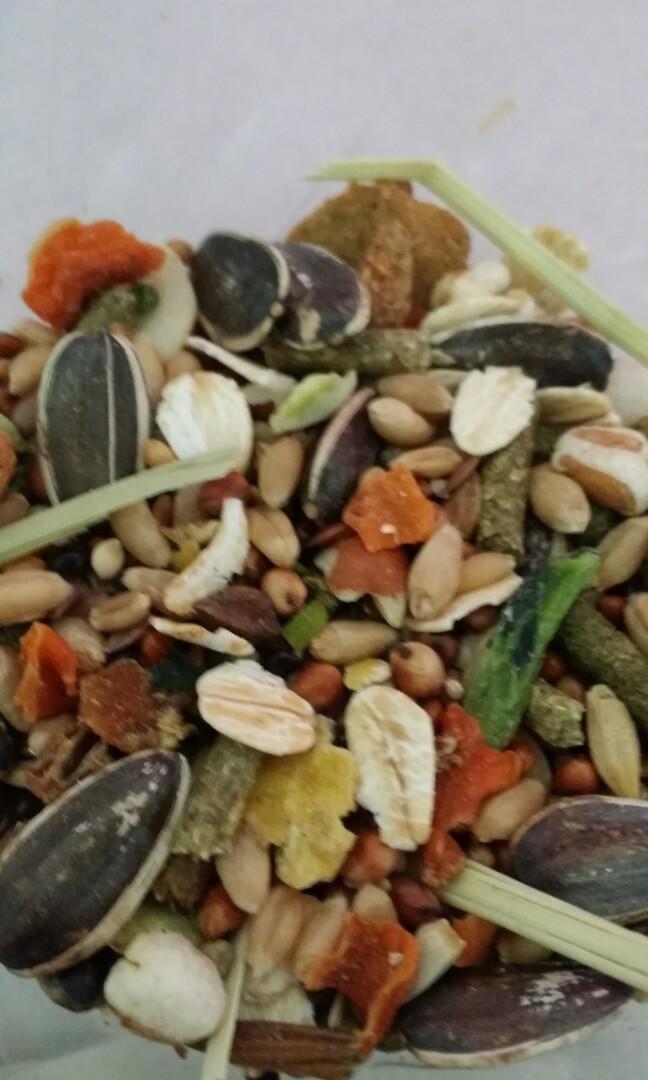 homemade hamster food mix