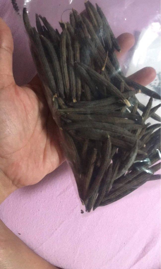 Chorchorus olitorus/ nalta jute/saluyot, Furniture & Home Living, Gardening, Plants & Seeds on