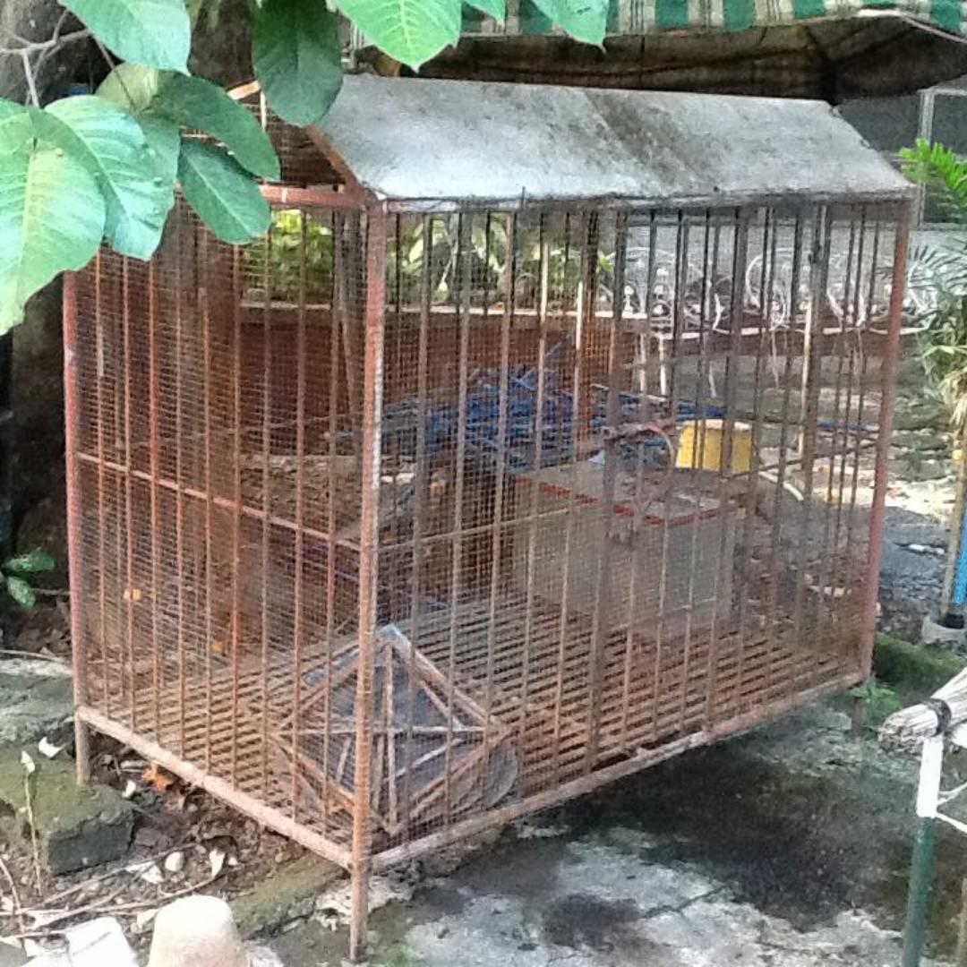 steel dog house