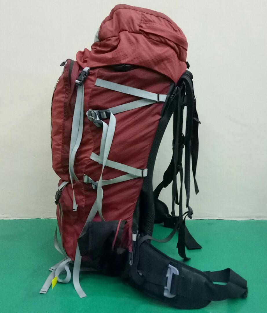 Gregory palisade pack online