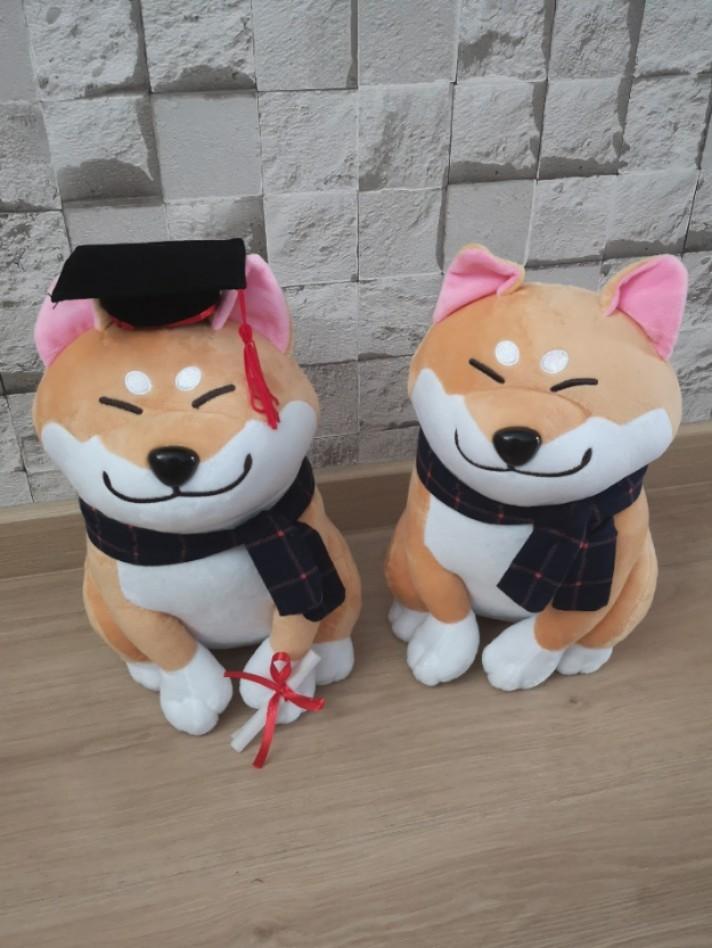 graduation puppy plush