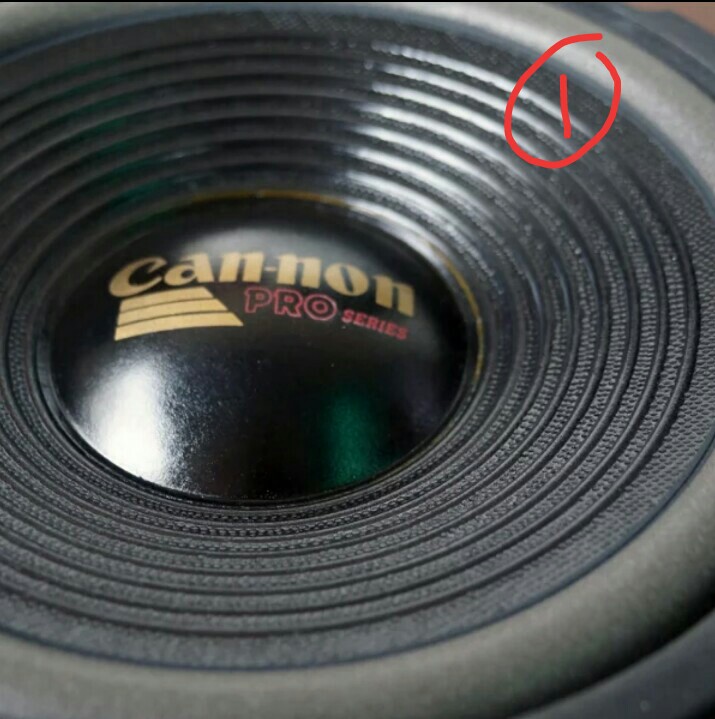 Speaker cannon 10 inch