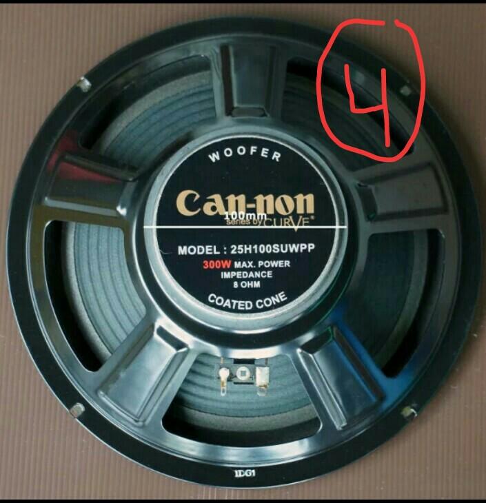 speaker cannon 10 inch
