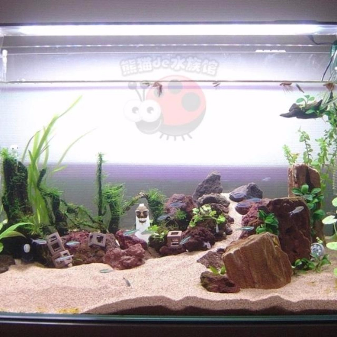 Sudo Bottom Sand 5kg For Aquarium Fish Tank