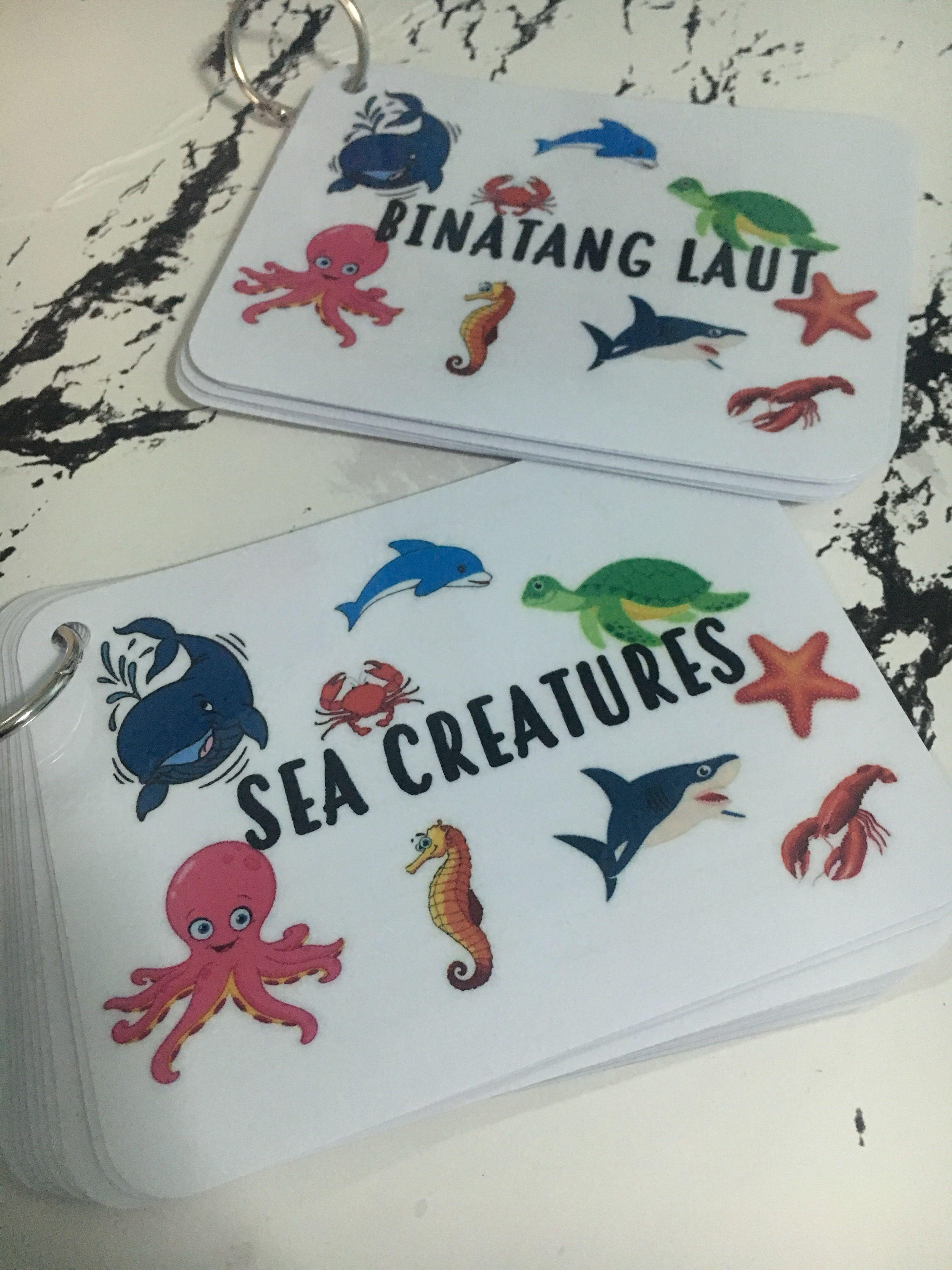 Tracing Activity Cards Sea Creatures / Binatang Laut, Hobbies & Toys